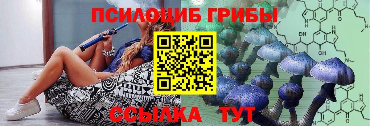 Галлюциногенные грибы Psilocybe  Вход с VPN  Псилоцибиновые грибы GOLDEN TEACHER  Кинель 